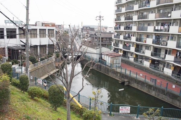 築留堤防から見た「大和川分水築留掛かり」