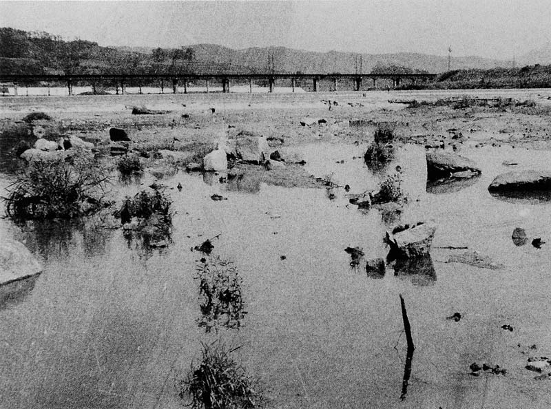 大和川に露出した礎石