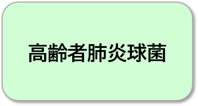 haien.png