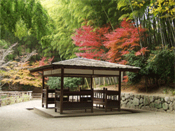 高井田横穴公園