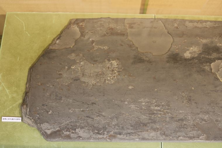 令和7年度冬季特集展示_3