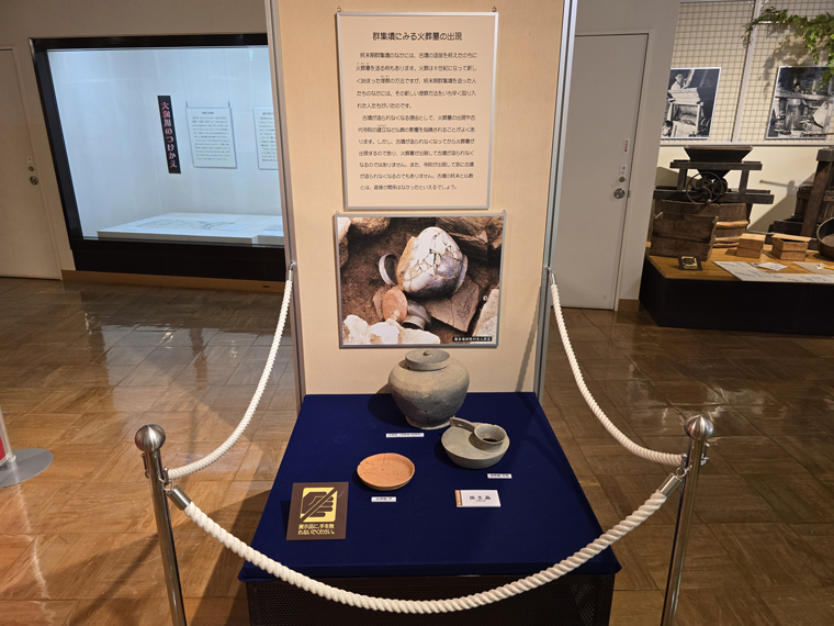 令和7年度夏季特集展示