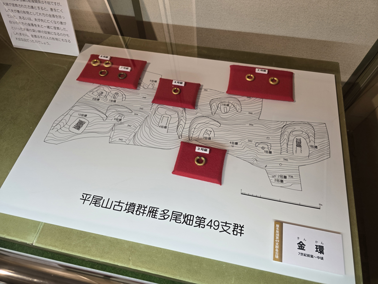 令和7年度夏季特集展示