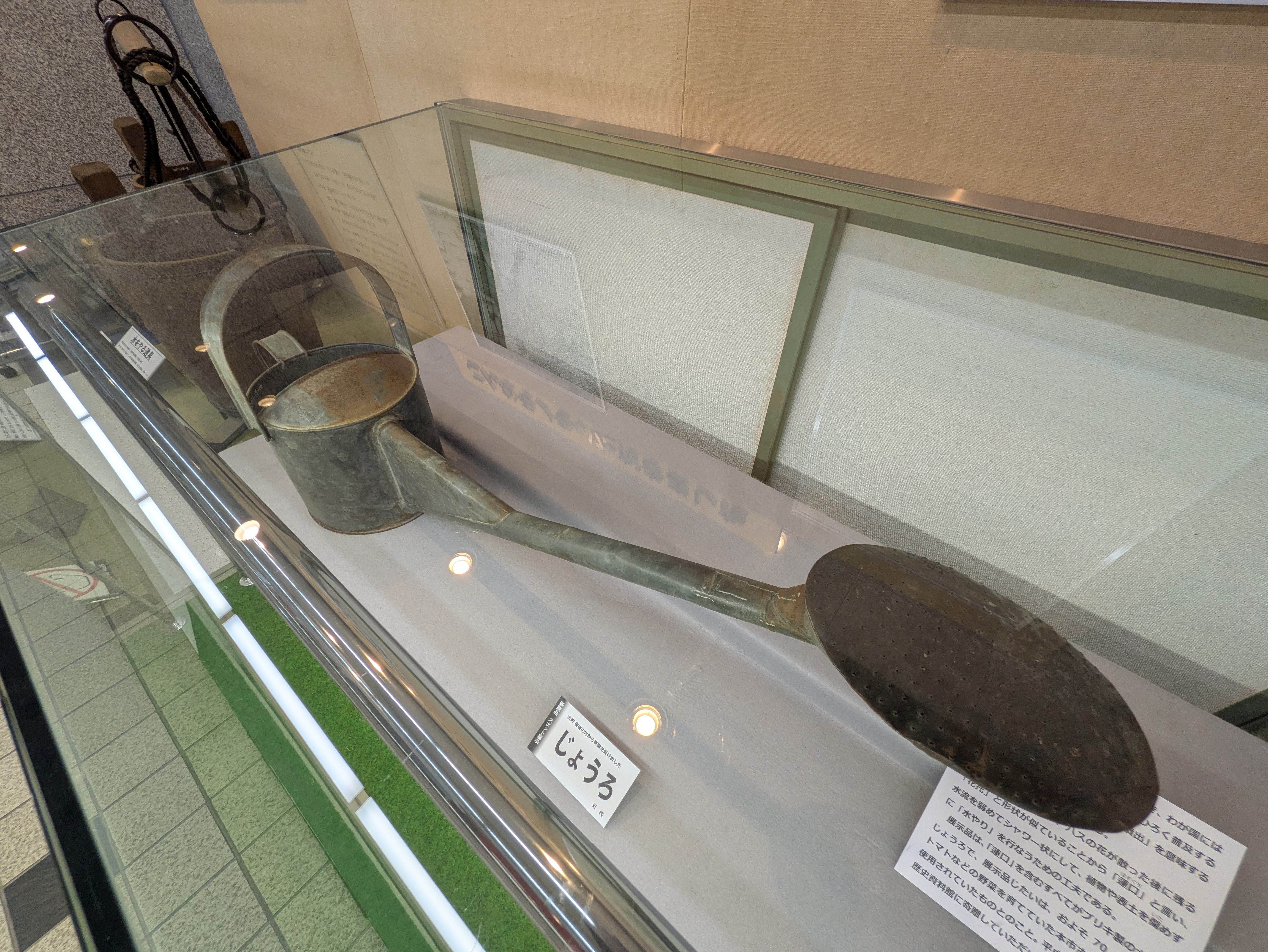 スポット展示20260303