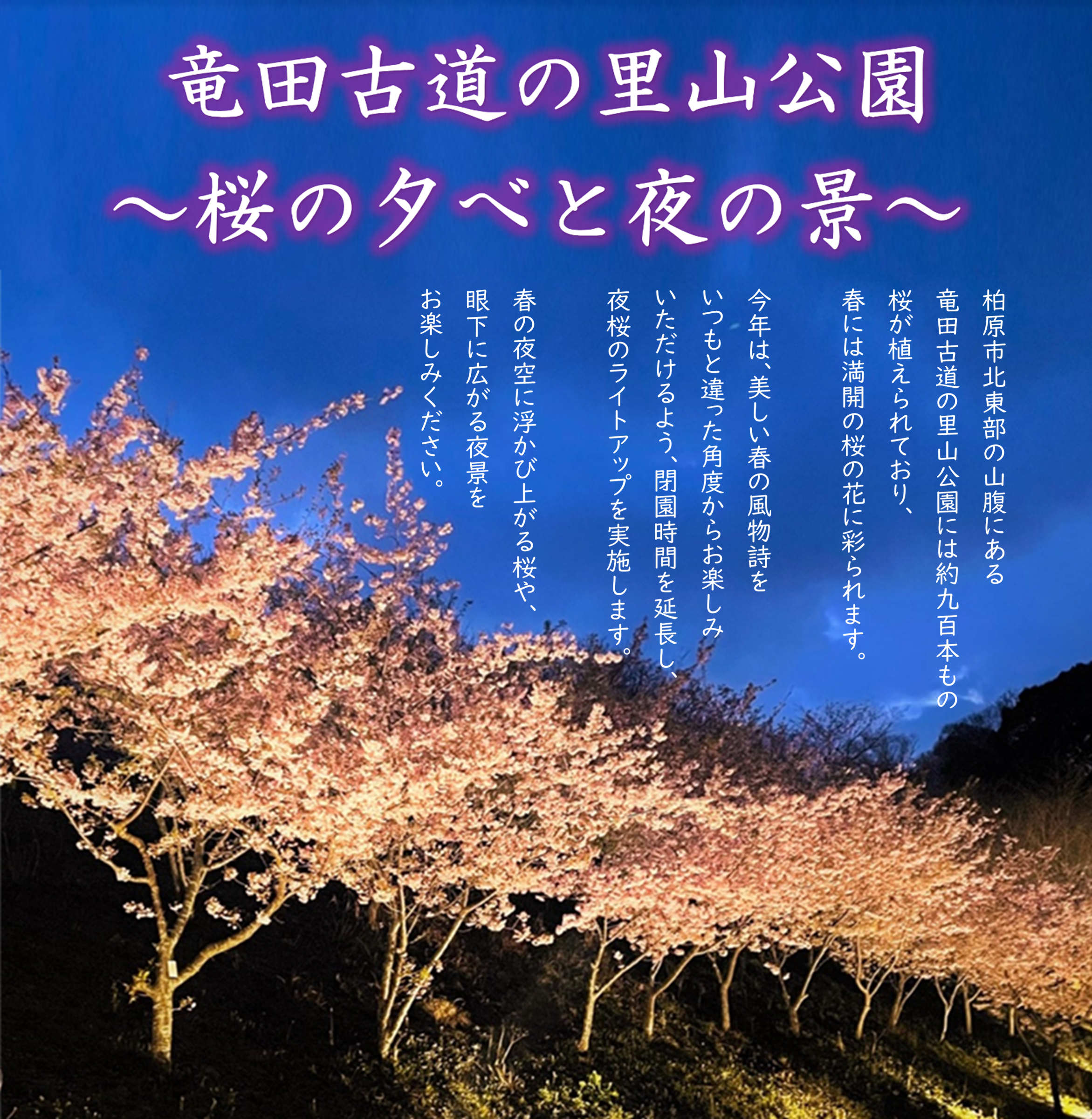 タイトル.png