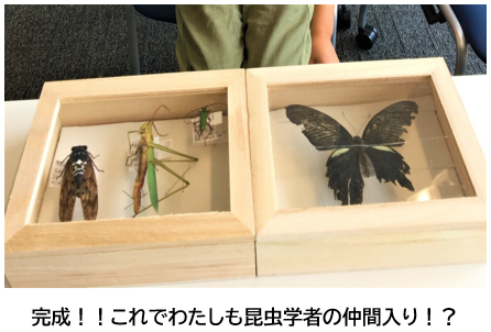 標本完成１