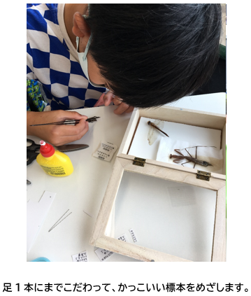2標本作業