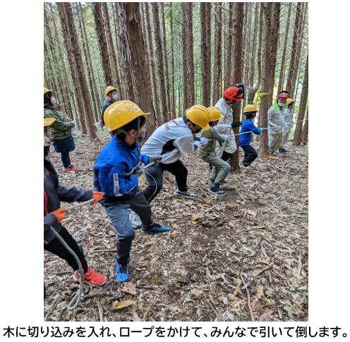 伐採１