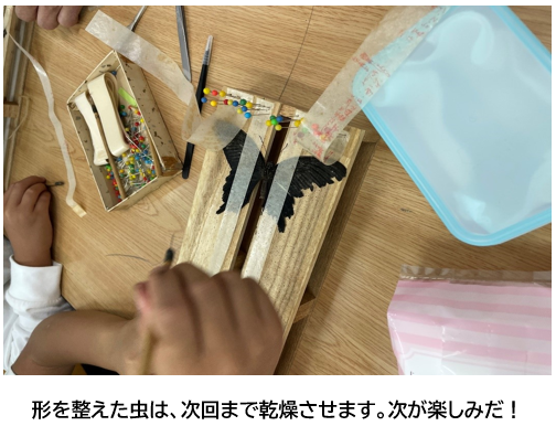蝶々作業