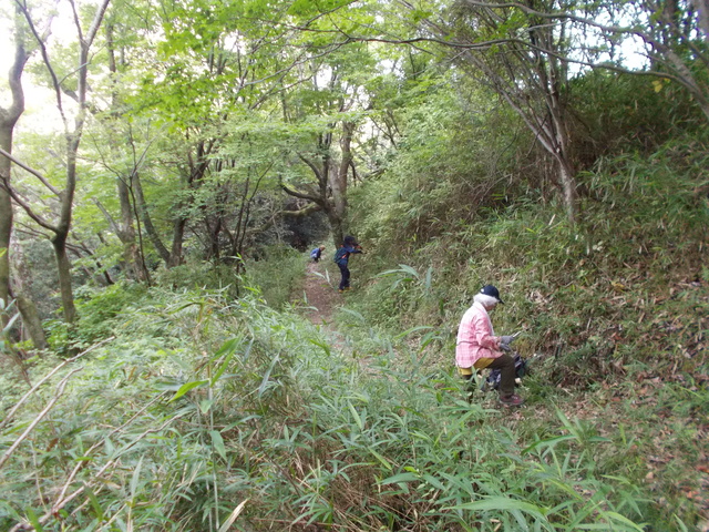 20230625草刈りJPG