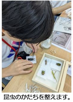 昆虫観察3.JPG