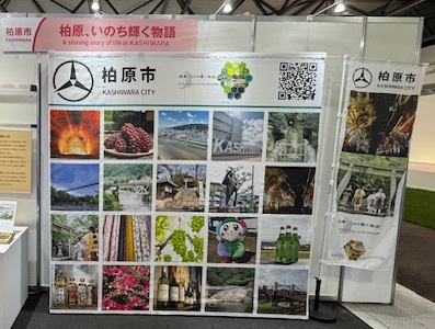 IMG_2929-cleaned mini04