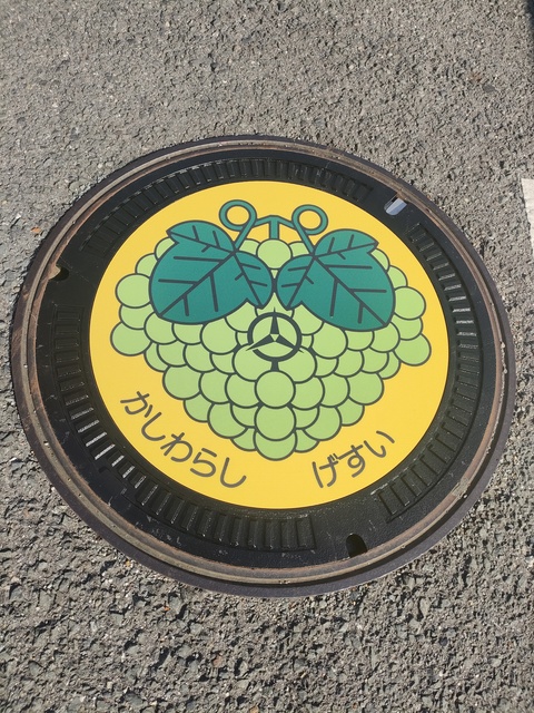 サンプルマンホール近景