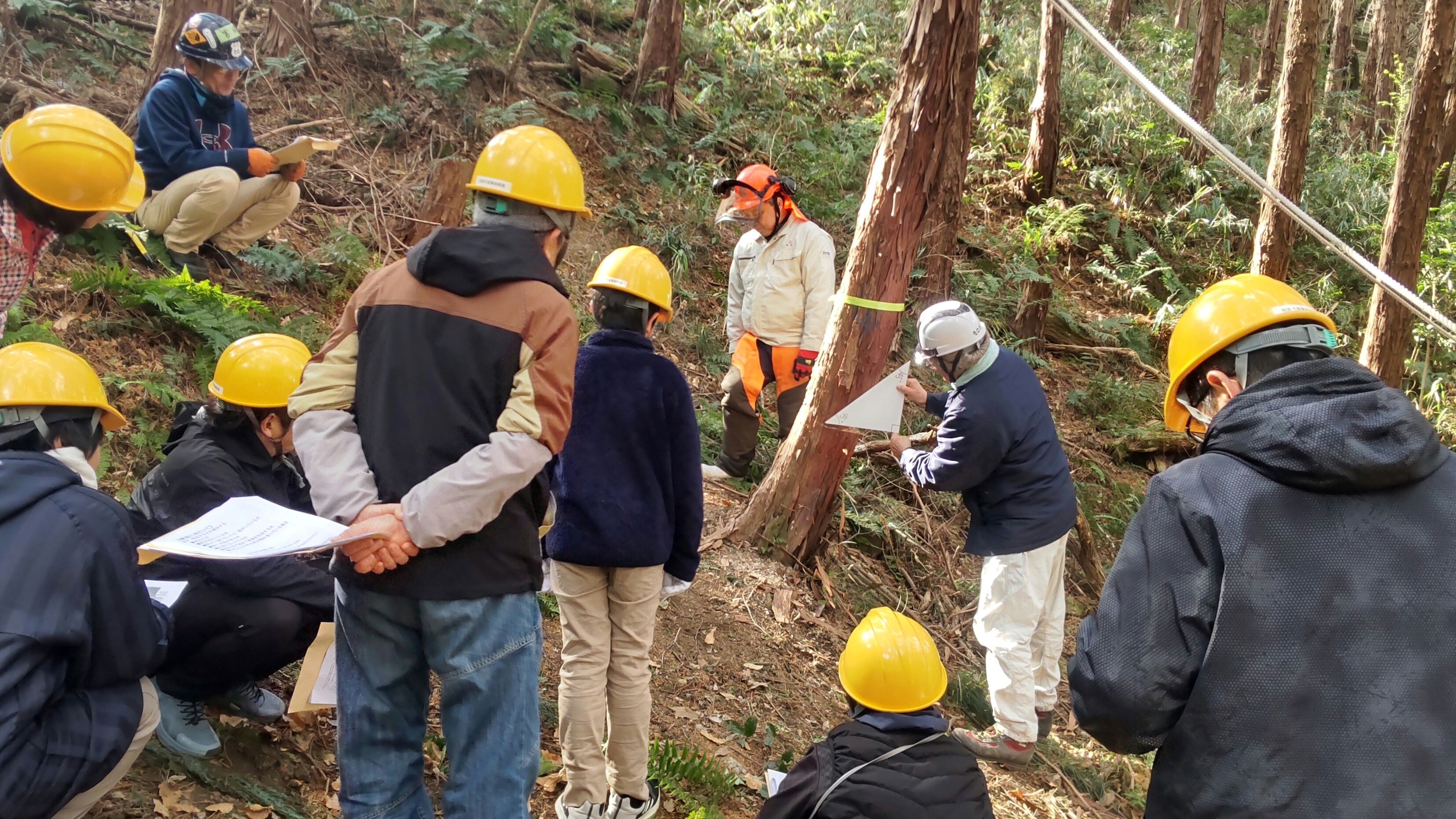 8.間伐体験写真