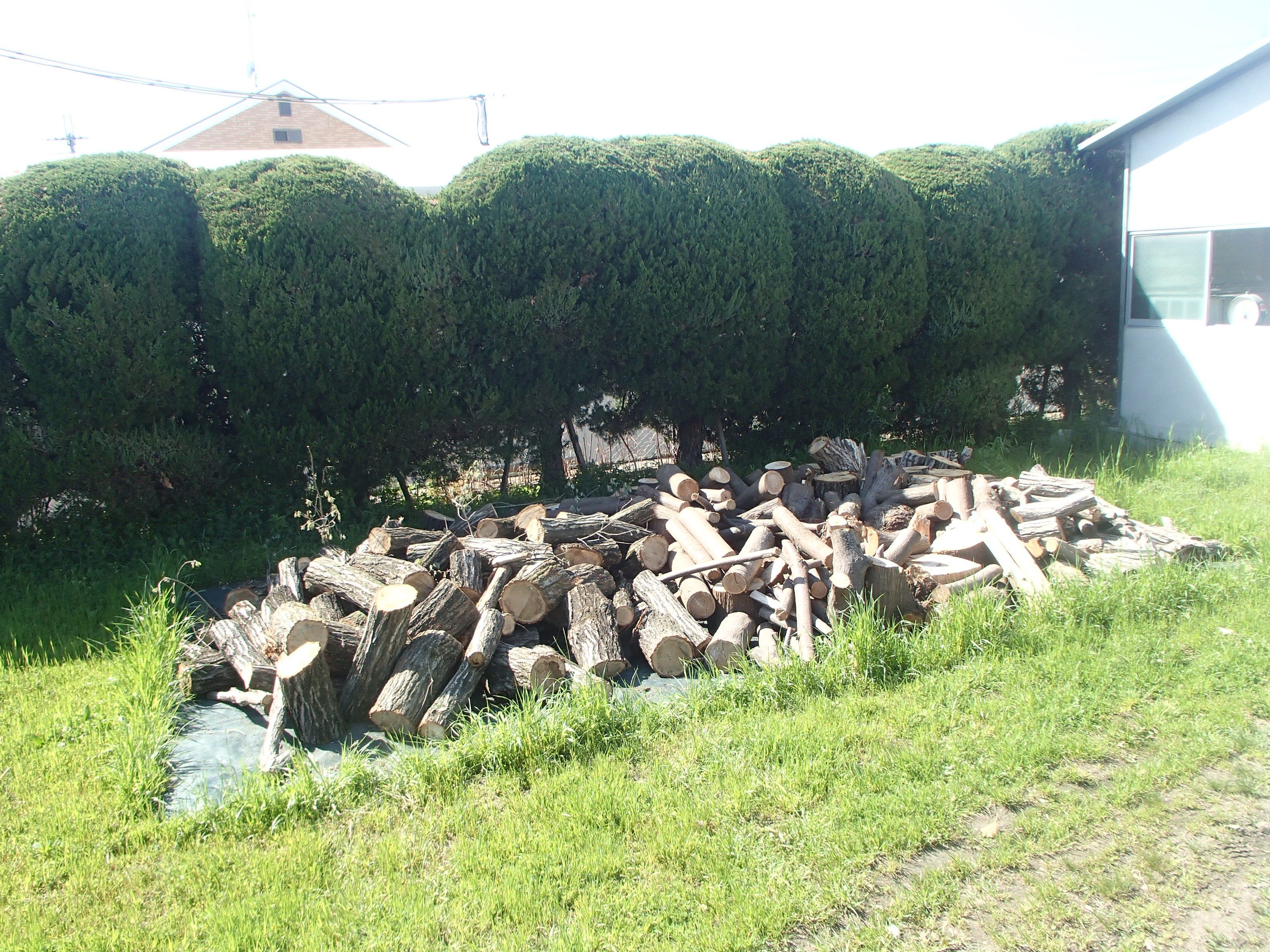 file_contents/P4082290.jpg