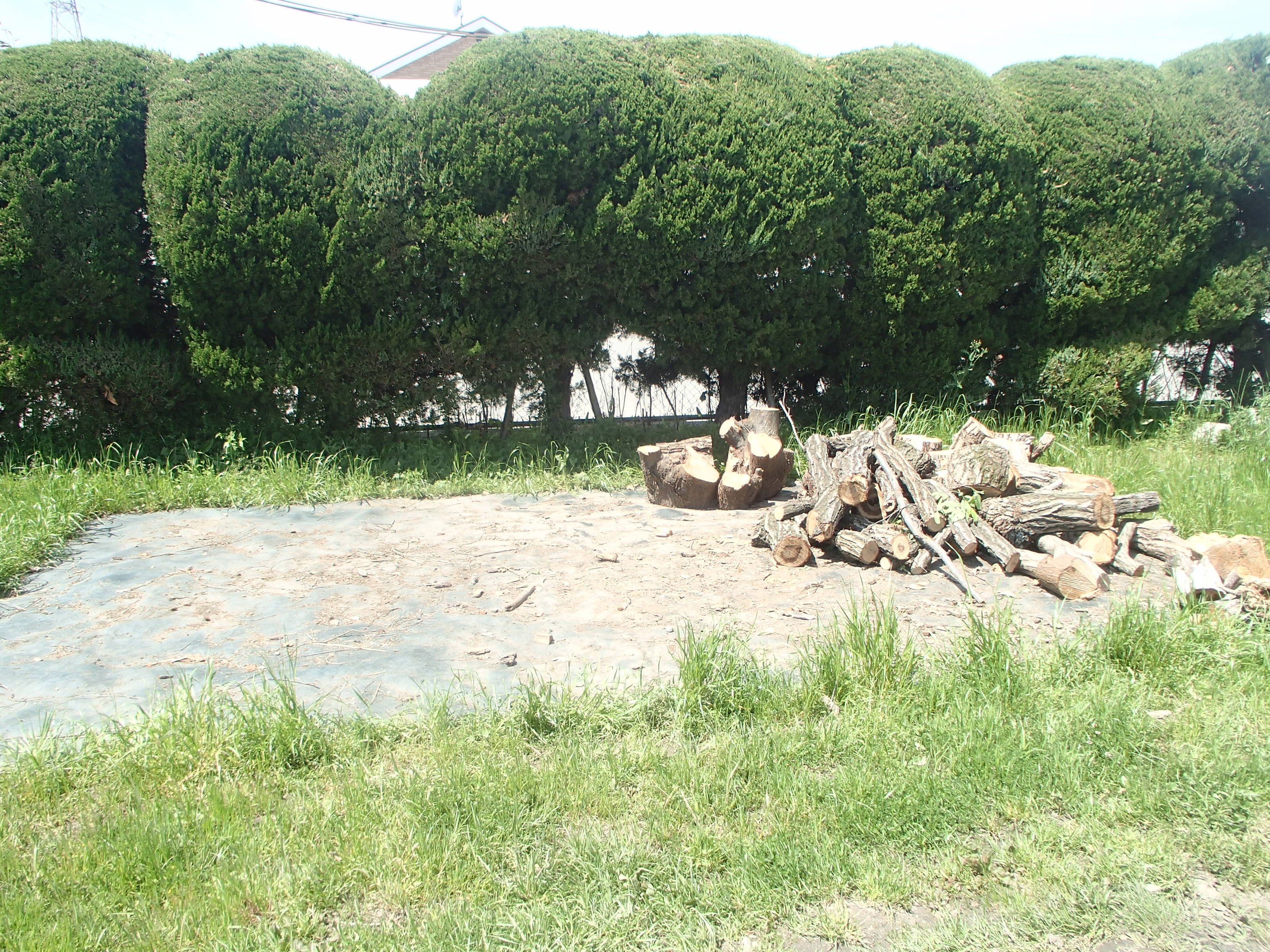 file_contents/P4142319.jpg
