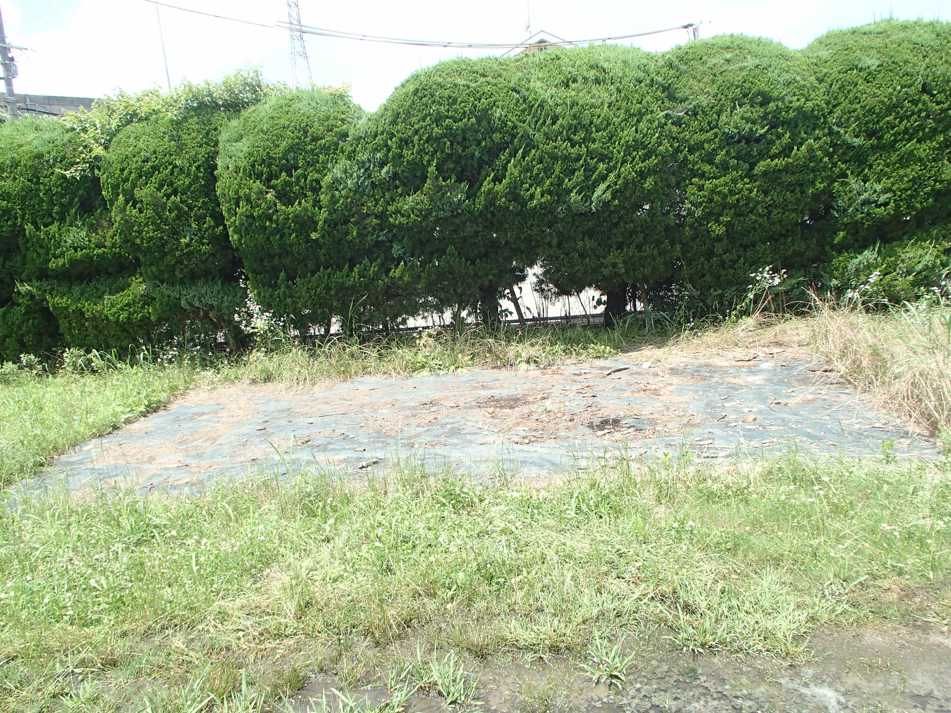 file_contents/P6292612.jpg