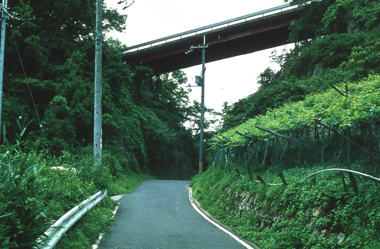 津越の切通し道 津越の切通し道
